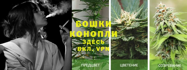 MESCALINE Абинск