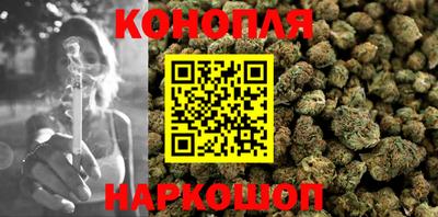 каннабис Кингисепп