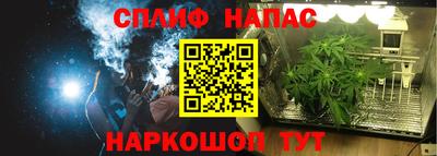 каннабис Кингисепп