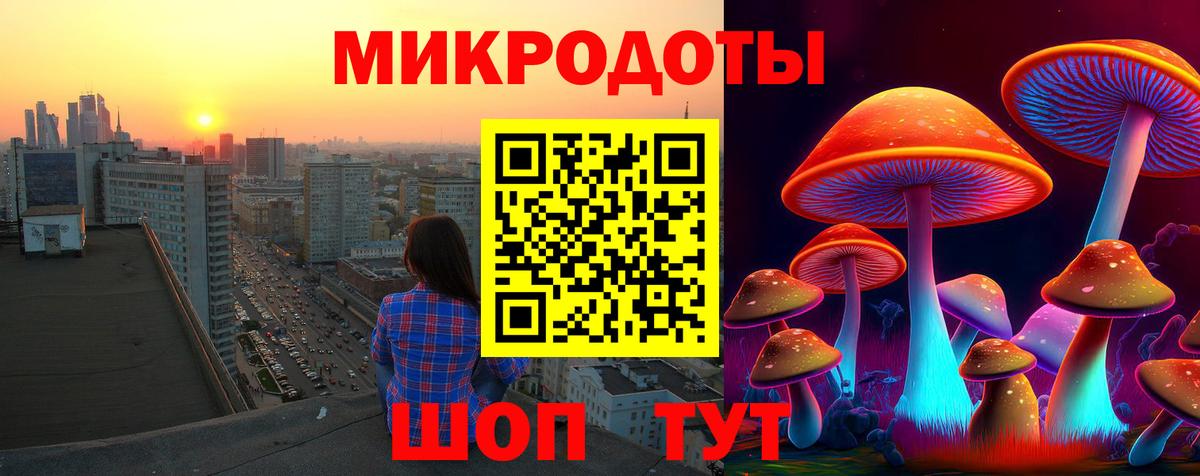 Псилоцибиновые грибы GOLDEN TEACHER Троицк